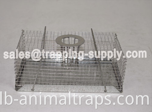 Humane Top-entry Mouse Trap Cage